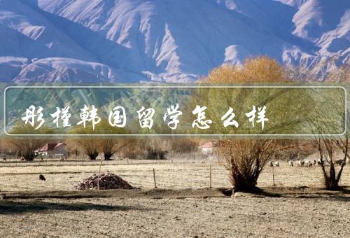 彤槿韩国留学怎么样（课程设置、师资力量、学习环境）