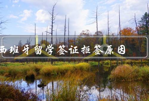 西班牙留学签证拒签原因（材料不齐全／虚假材料）