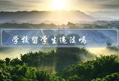 学校留学生违法吗（居留／工作／参与社会活动）