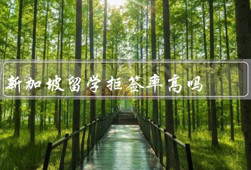新加坡留学拒签率高吗，留学签证政策、留学拒签率较低