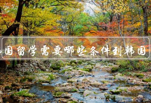 到韩国留学需要哪些条件到韩国，学历要求／语言能力／财务能力