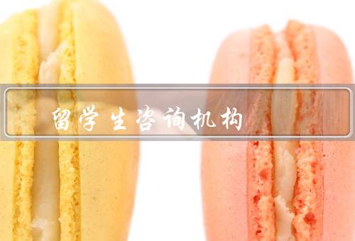 留学生咨询机构，申请咨询／签证申请咨询／生活指导