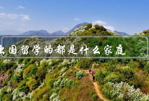 出国留学的都是什么家庭（家庭经济实力较强／注重子女教育）