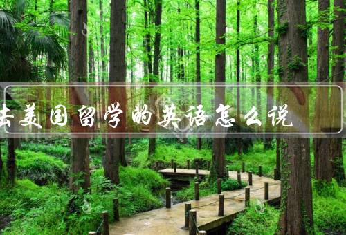 去美国留学的英语怎么说，准备工作、选择学校、文化适应