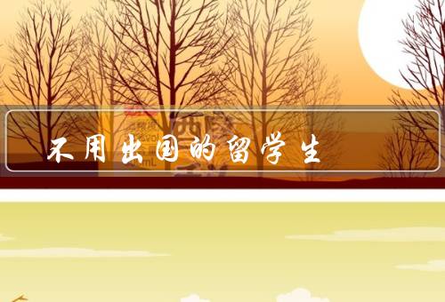 不用出国的留学生，特点、经历、优势