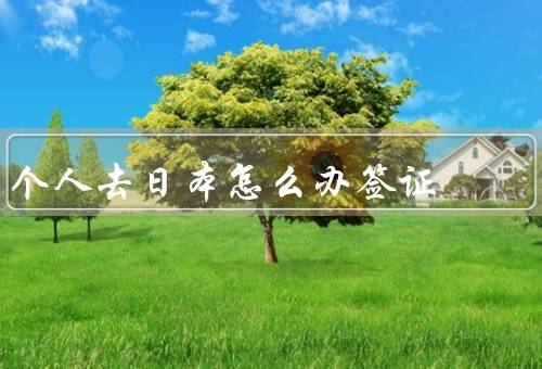 个人去日本怎么办签证，签证类型、所需材料、申请流程