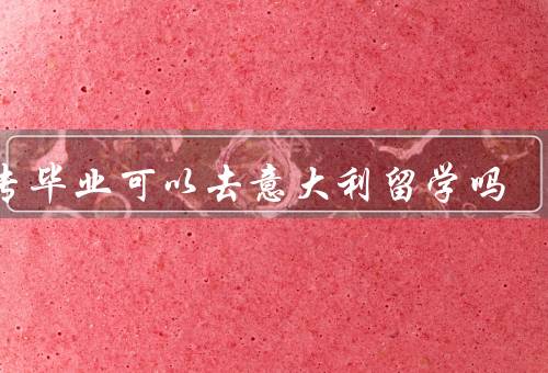 中专毕业可以去意大利留学吗（机会／挑战／建议）
