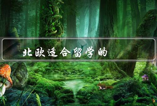 北欧适合留学的国家，瑞典／丹麦／挪威