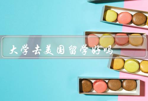 大学去美国留学好吗，留学经历的丰富性／优质的教育资源