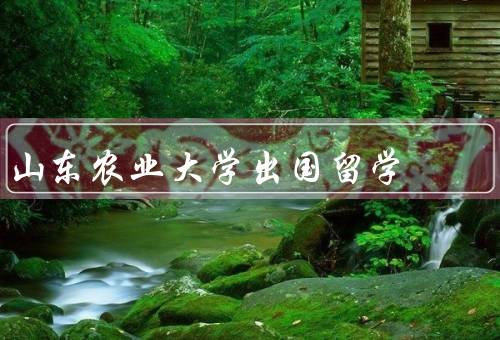 山东农业大学出国留学，出国留学项目／申请与选拔／留学成果与收获