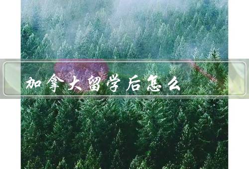加拿大留学后怎么移民，学习工作经验类移民、省提名计划、技术移民