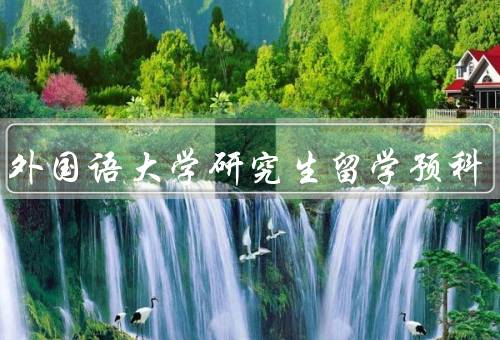北京外国语大学研究生留学预科，目标、课程设置、教学特点
