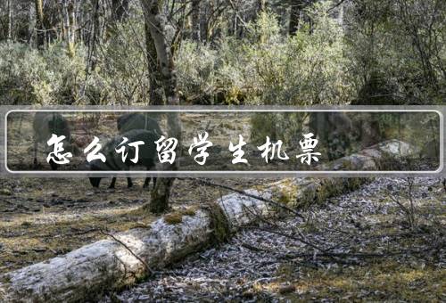 怎么订留学生机票（选择合适的机票渠道／注意事项／订票流程）