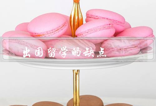 出国留学的缺点（文化冲击、语言障碍、经济压力）