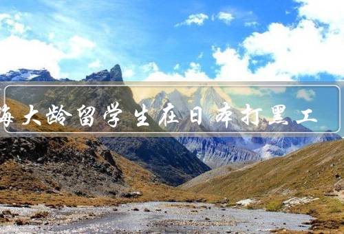 上海大龄留学生在日本打黑工（就业压力、学习成绩不佳）