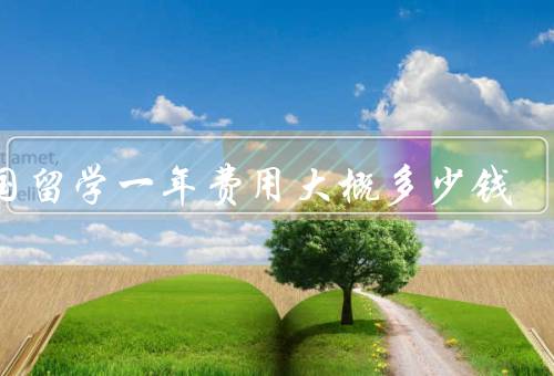 出国留学一年费用大概多少钱（学费和生活费、签证和保险、其他费用）