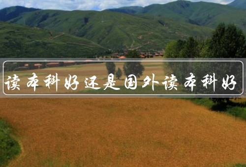 国内读本科好还是国外读本科好，国内读本科、国外读本科、结论