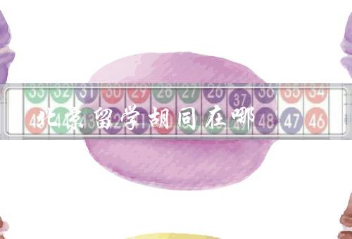 北京留学胡同在哪，位置、特点、留学生活