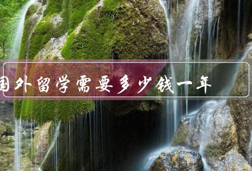 国外留学需要多少钱一年（学费／生活费／其他费用）