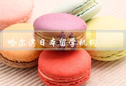 哈尔滨日本留学机构（机构的选择、申请与准备、后的支持与服务）