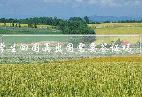 留学生回国再出国需要签证吗（留学生回国再出国是否需要签证）