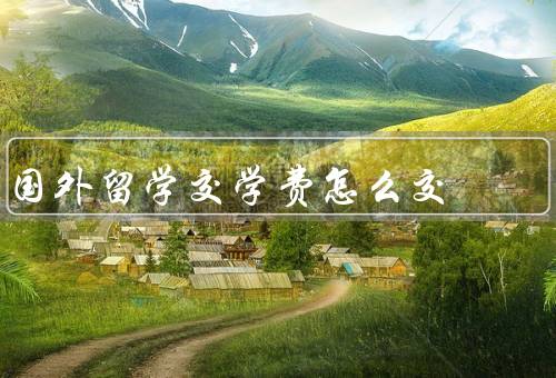 国外留学交学费怎么交，银行转账、第三方支付、海外代付