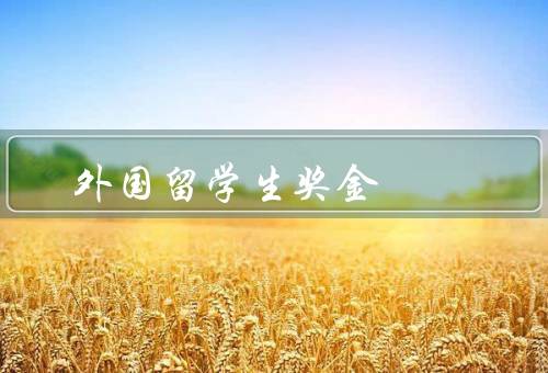 外国留学生奖金，种类／发放标准／对留学生的影响