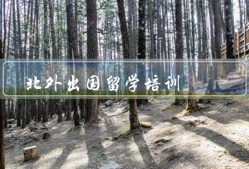 北外出国留学培训，课程设置／师资力量／实践机会