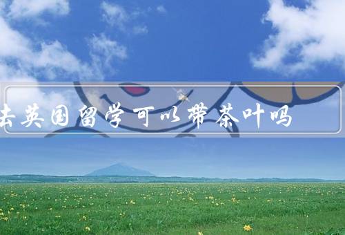 去英国留学可以带茶叶吗，茶叶的法律规定／旅途中的注意事项