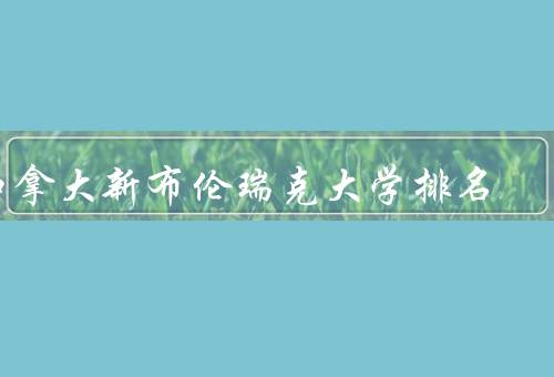 加拿大新布伦瑞克大学排名（世界大学排名概况／学术实力与研究成果）
