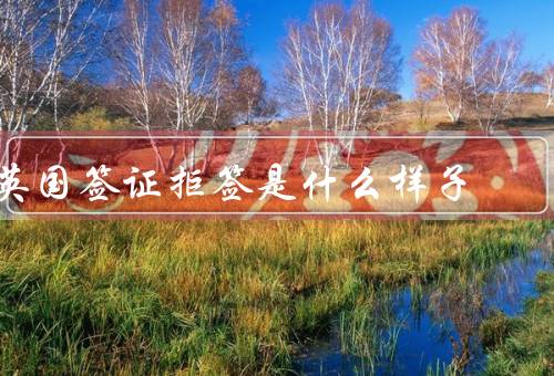 英国签证拒签是什么样子，签证申请材料不完整／不符合签证要求
