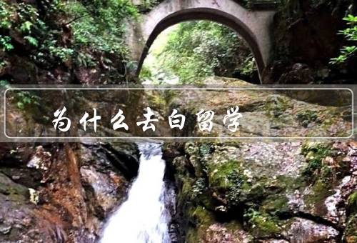 为什么去白俄罗斯留学，学术环境、教育质量、生活成本