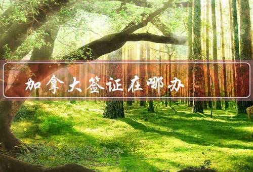 加拿大签证在哪办，地点／申请流程／时间
