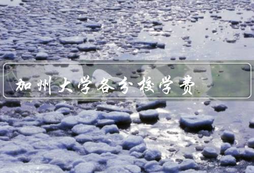 加州大学各分校学费，伯克利分校／加州大学洛杉矶分校