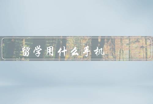 俄罗斯留学用什么手机，价格／性能／适应当地网络的能力