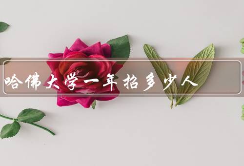 哈佛大学一年招多少人（规模、政策、录取标准）