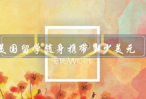去美国留学随身携带多少美元