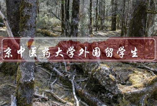 南京中医药大学外国留学生