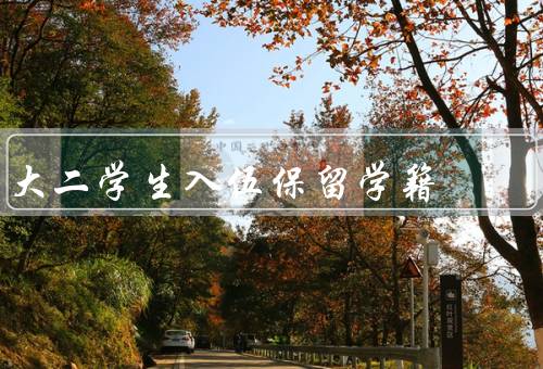 大二学生入伍保留学籍（意义、条件、实施与效果）