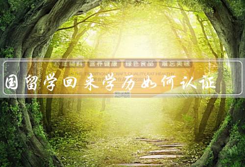 出国留学回来学历如何认证，必要性／程序／注意事项