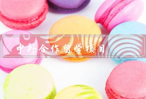中外合作留学项目，背景、意义、展望