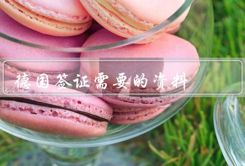 德国签证需要的资料（个人信息、旅行计划、财务状况）