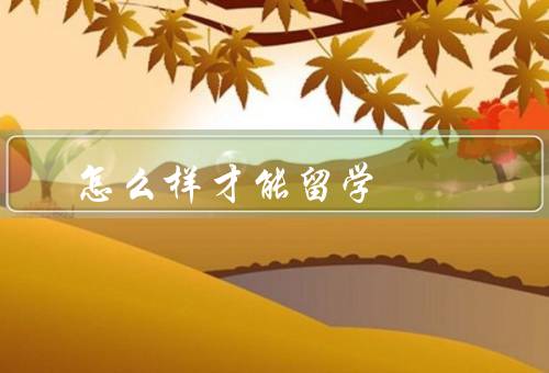 怎么样才能留学（选择留学目的地、了解留学签证要求、准备语言考试）