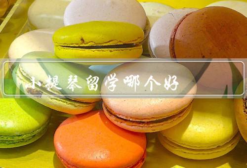 小提琴留学哪个国家好（美国／德国／奥地利）