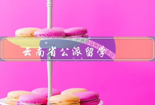 云南省公派留学（意义、申请条件、效果评估）