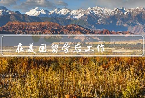 在美国留学后工作，就业竞争激烈／签证问题／文化差异和适应挑战
