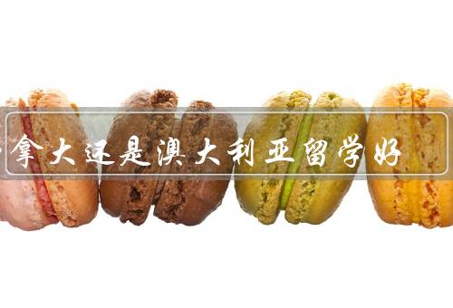 加拿大还是澳大利亚留学好（教育质量、语言环境、生活成本）