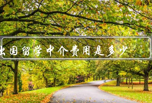 出国留学中介费用是多少，构成／影响因素／合理性