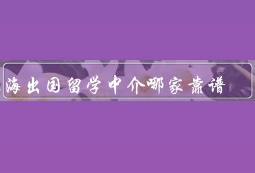 上海出国留学中介哪家靠谱，顾问、出国、中国