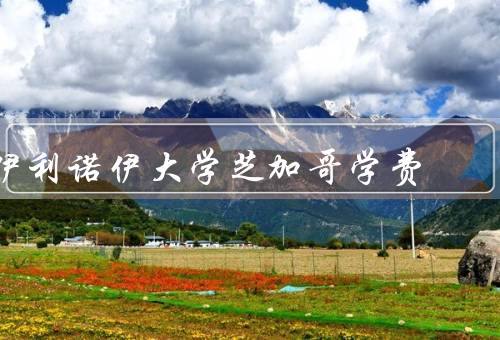 伊利诺伊大学芝加哥学费，标准／减免／就业机会